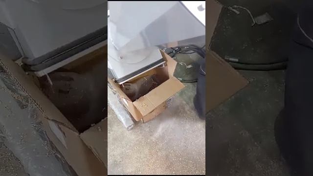 Дробление сушеных яблок на измельчителе роторно-ножевом универсальном ИРН-250У (решето 8 мм)