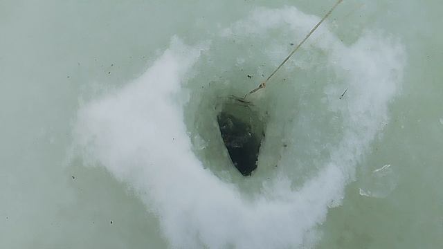 VID_20250311_110805.mp4 поймал рыбки и поставил жерлицы на щуку