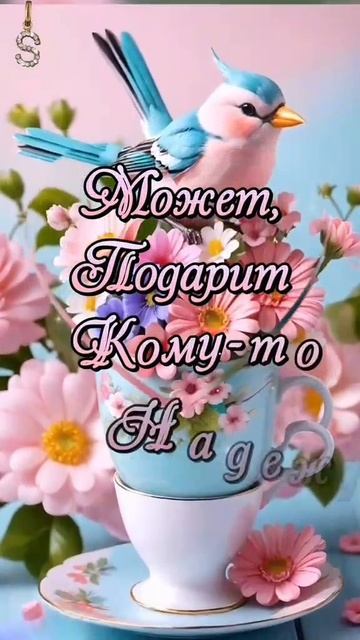 VID-20250311-WA0005