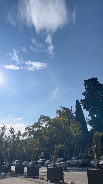11-03-2025