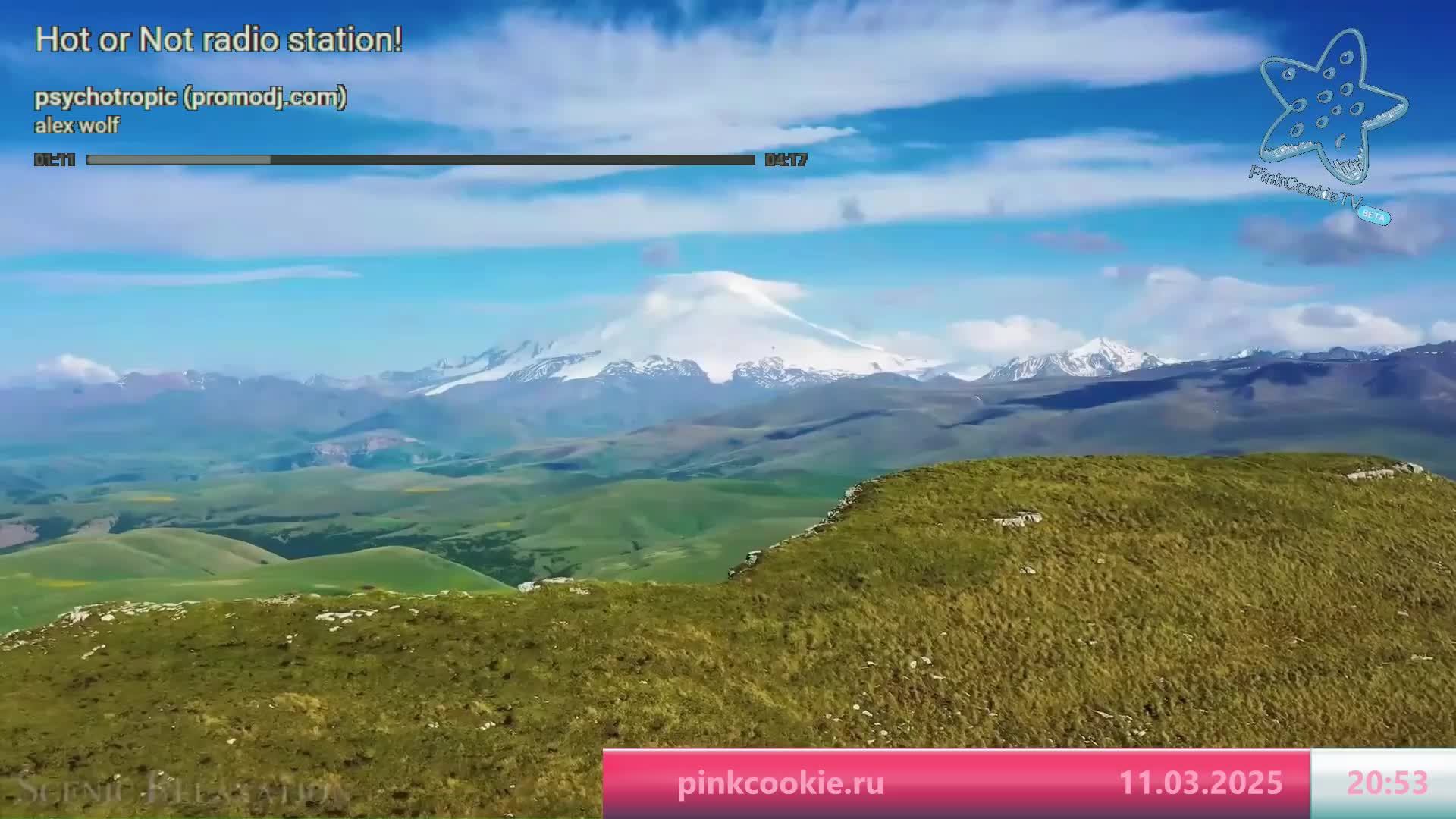 PinkCookieTV музыкальное креативное ТВ