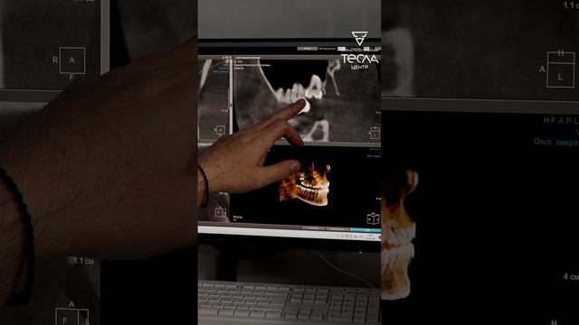 Ноздрачёв Василий Генадьевич