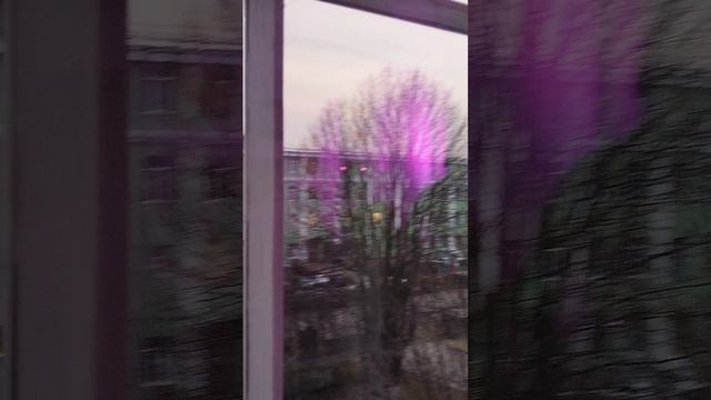АртДок фильм Гарик Евдокимов в галерее Жизнь Цвета. Коломна /10 марта