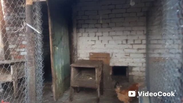 Обычный день ,Обычных людей. Жизнь на Кубани