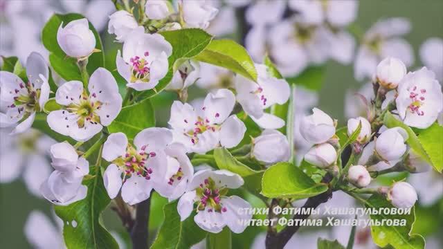 УТРО ИНГУШЕТИИ 110325