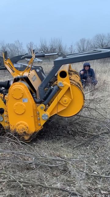 Ну мучай себя. Убирай пни ротоватором 89261385927 #мульчер #ротоватор #farming #агротехнологии