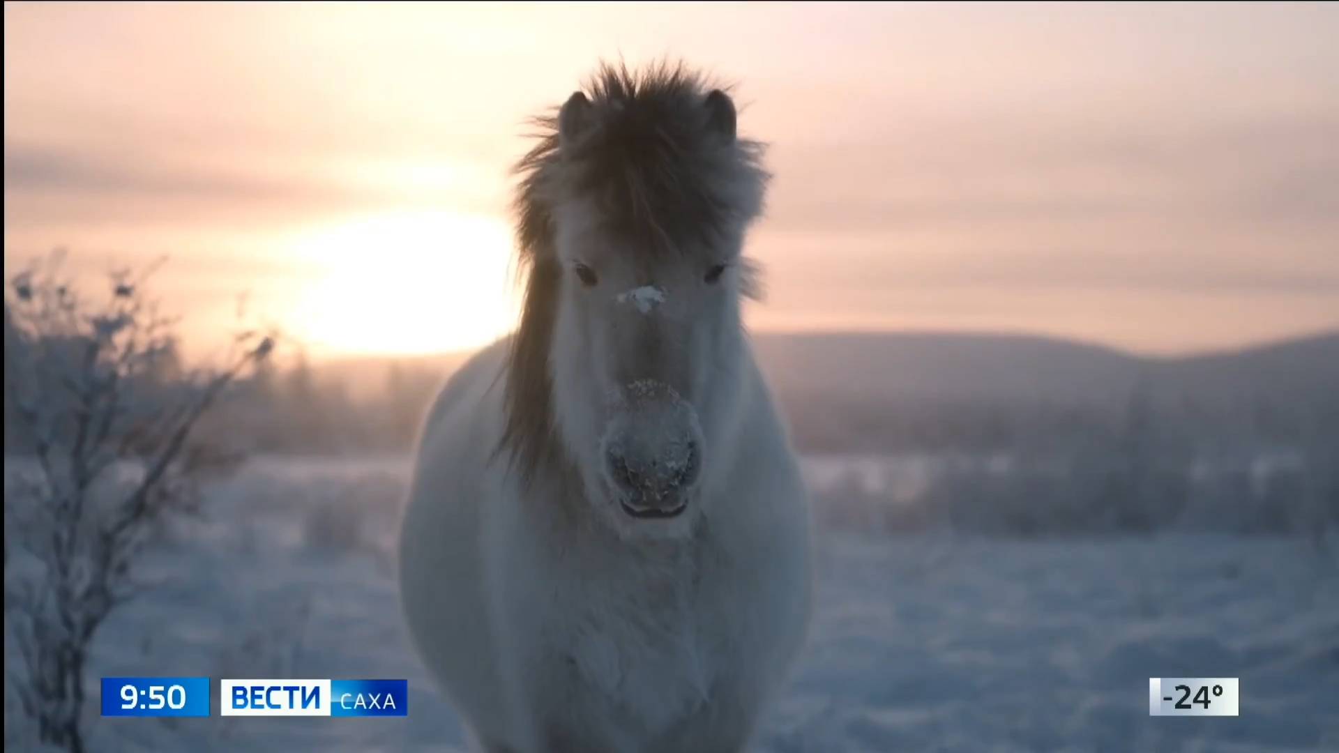 09:30 ВЕСТИ САХА 11/03/25 НА ЯКУТСКОМ ЯЗЫКЕ