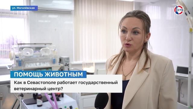 Как в Севастополе работает государственный ветеринарный центр?