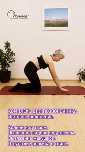 Здоровая спина. Базовая стойка #здороваяспина #йогаспб #позвоночник