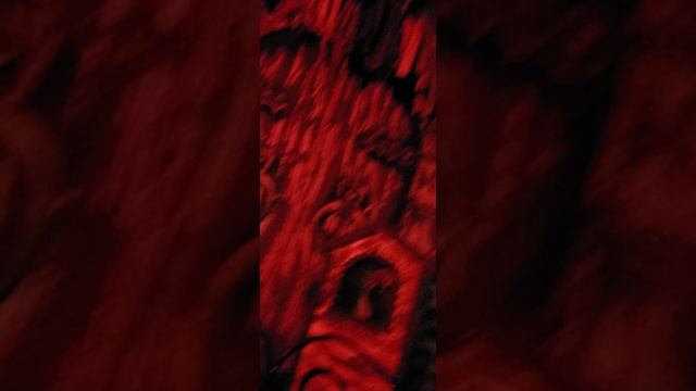 Комната Страха.Сочи.Newtonshow.