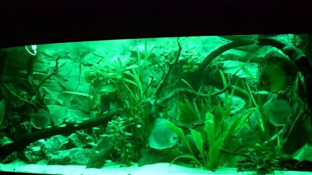 AQuarium auf SMD / LED umrüsten