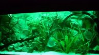 AQuarium auf SMD / LED umrüsten