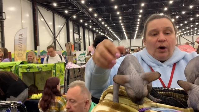 Какие красивые кошечки и собачки! С удовольствием посетили выставку!!