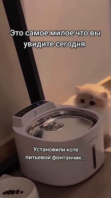 Простите что мало видео выкладываю подпишись буду рада