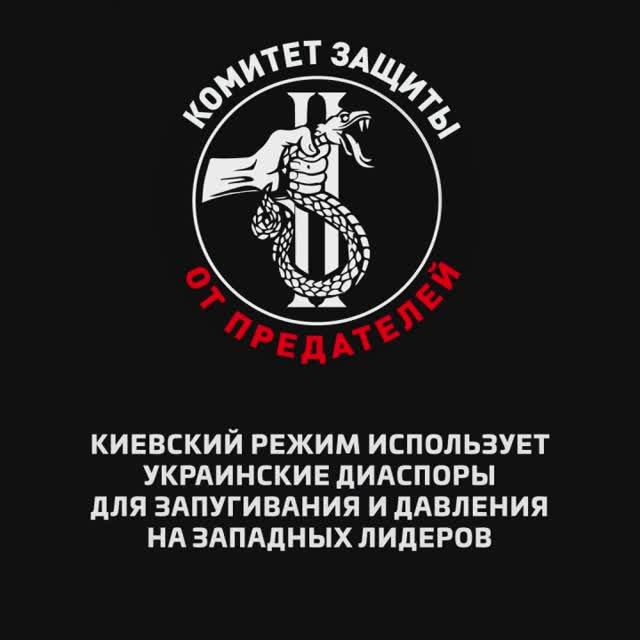 Киевский режим использует украинские диаспоры для запугивания и давления на западных лидеров