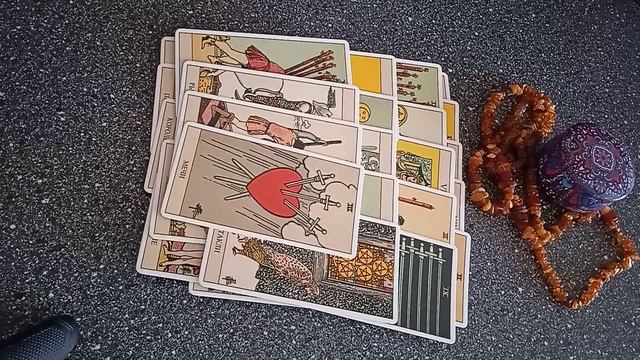 VID_20250311_142455.mp4