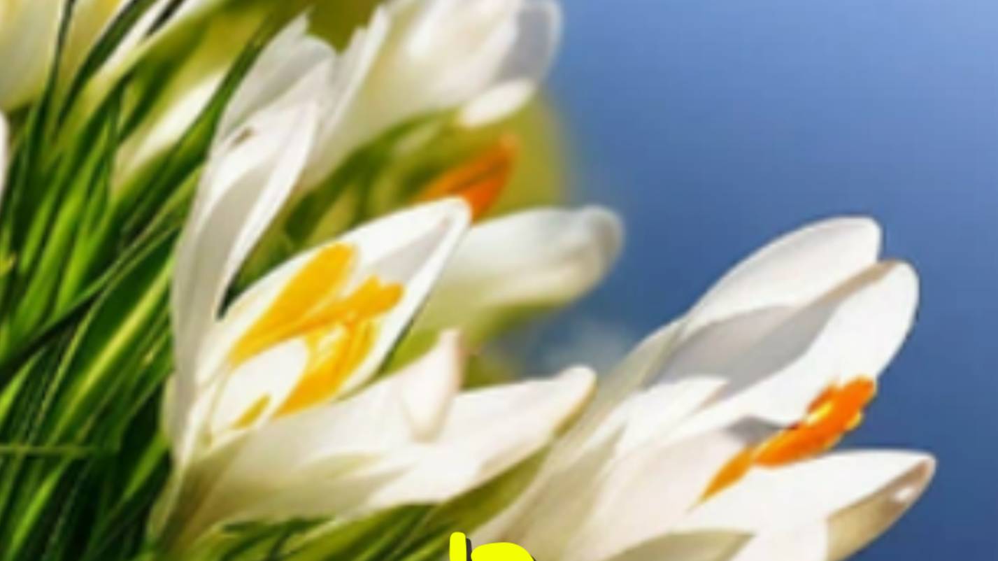 Командировка в Минск: Как фильм 'Эммануэль' разрушил брак 💔 Шокирующая исповедь из 80-х