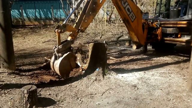 Двор Володарского 65.