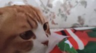 НАШИ ПОДАРКИ ЗАТОЧЕНЫ ВО ЛЬДУ! ЧТОБЫ ИХ РАСКОЛДОВАТЬ НУЖНО РАЗГАДАТЬ КВЕСТ! СМОЖЕМ ЛИ МЫ ПРОЙТИ ЕГО
