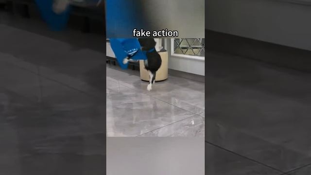 ХихиЧпок Юмор