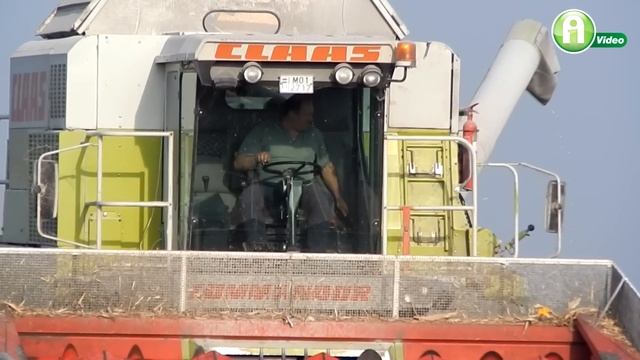 Claas Commandor kombájncsalád