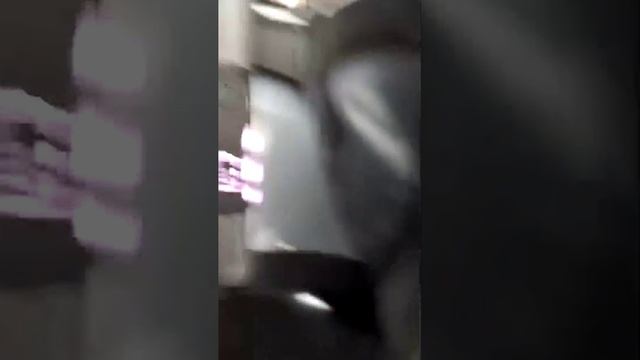 массовый спил деревьев