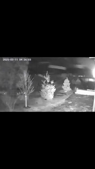 В Подмосковье 52-летний бывший военный самостоятельно сбил беспилотник.  Александр испугался за свою