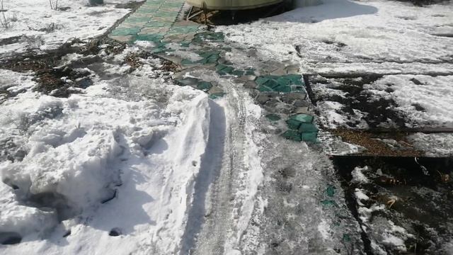 Наш сад, огород.