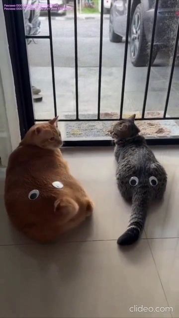 Они существуют