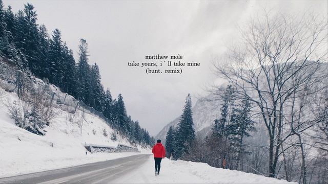 Matthew Mole -  Take Yours, I´ll Take Mine (BUNT. Remix)