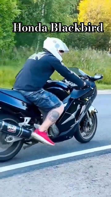 HONDA CBR 1100 XX  #shortsvideo #honda #shorts #motorcycle #shortvideo #viral #reels #shots #biker