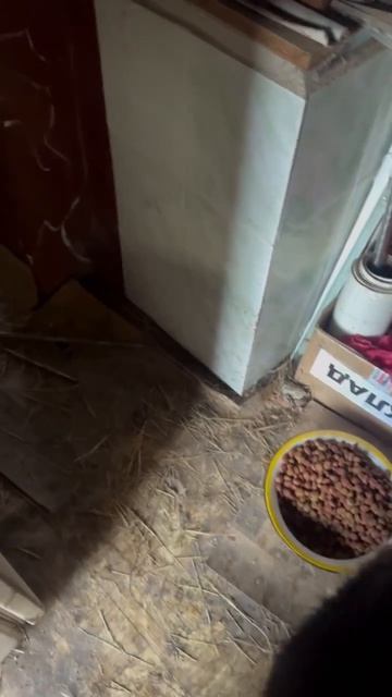 1000068933.mp4