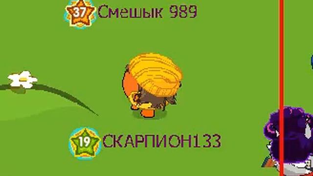 Клип пчёл. Клип танцы