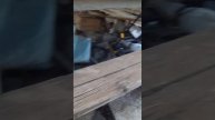 Весенний влог. наконец тепло.