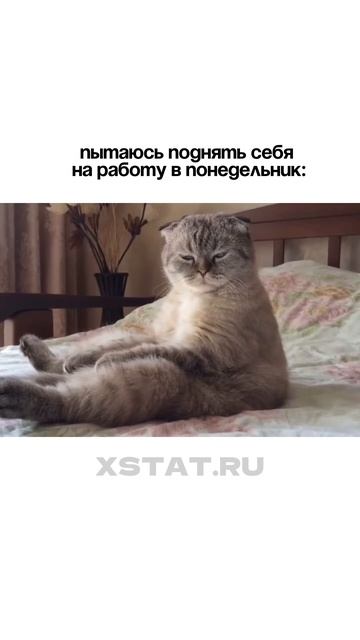 Работа не работается 😴