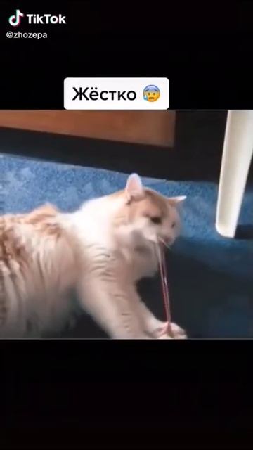 Жестоко.mp4