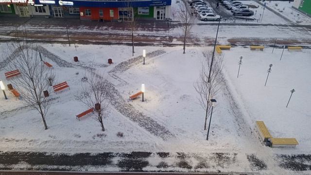 1000016507.mp4 фонари #рассвет 🌄 #Тюмень