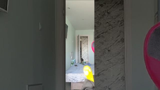 английский для детей