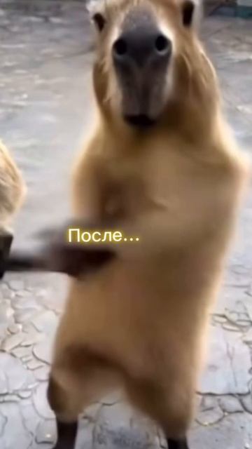 После еды
