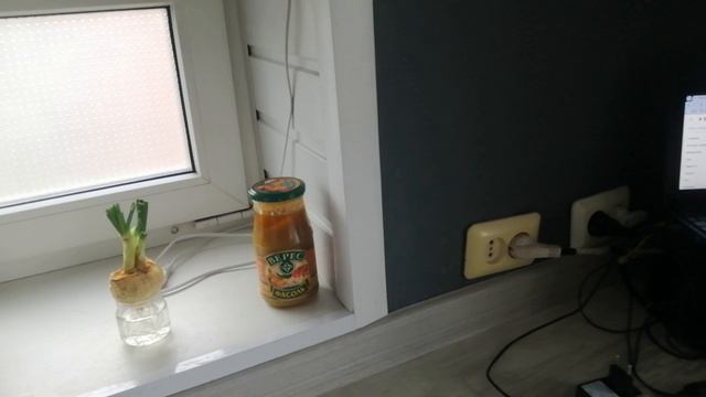 Зелёный лук на подоконнике в зимой
Сбер 2202206846043060