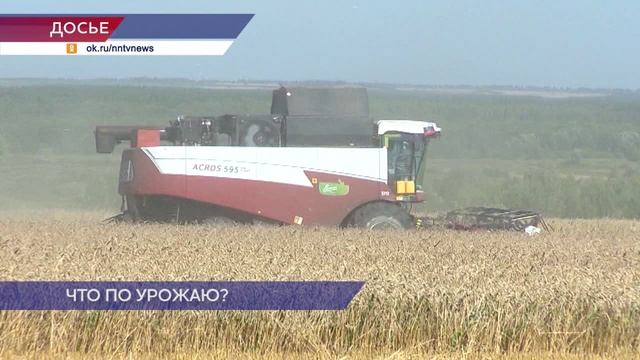 Чем опасна теплая зима для сельского хозяйства?