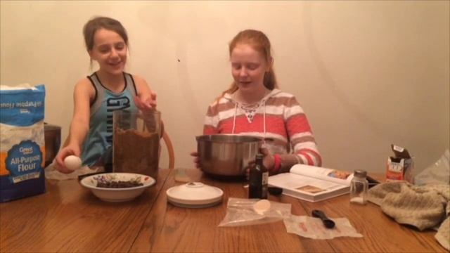 How to Make Chocolate Chip Cookies! | fifi emerson | The Arrow Faction
