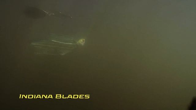 Booyah Covert Series | Indiana Blades Explained