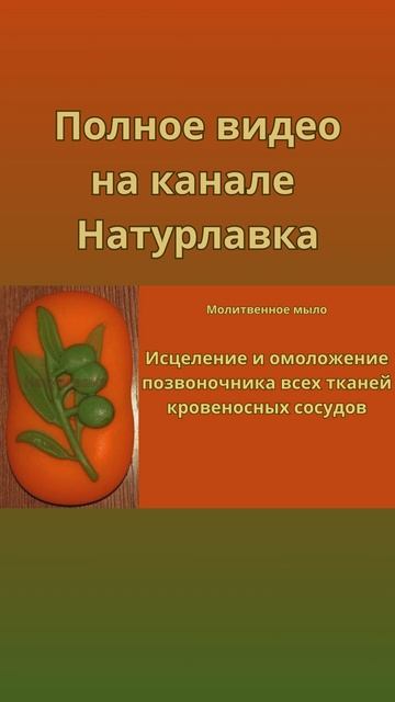 Исцеление и омоложение позвоночника, всех тканей кровеносных сосудов.