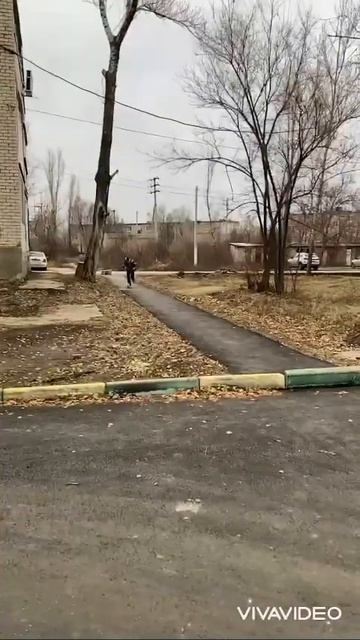 Снег всё таки растаял ! Ура , можно покататься )