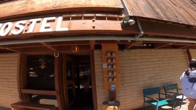 Grizzly Bear Close Encounter, Teton Village And a Safari Ride!