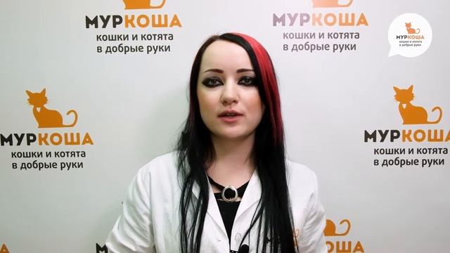 Школа Муркоши #1: чипирование