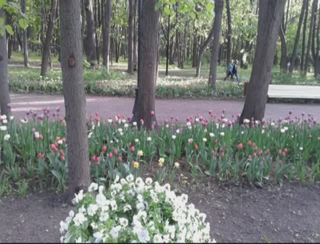 2014-05-14_Нескучный сад