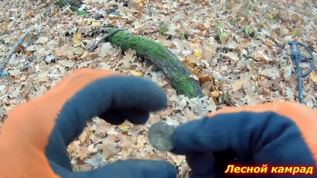 Дед Хабар засыпает находками
