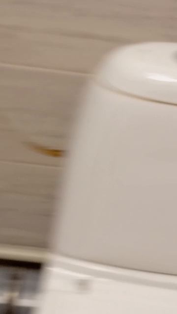 школьный тубээээээээээлэт
